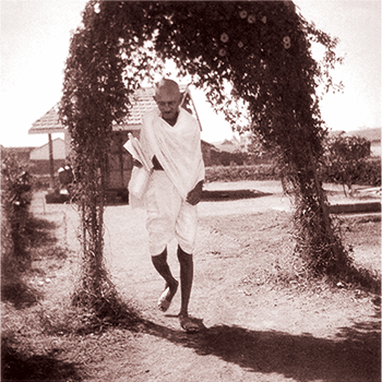 Gandhiji in a Champaran 
